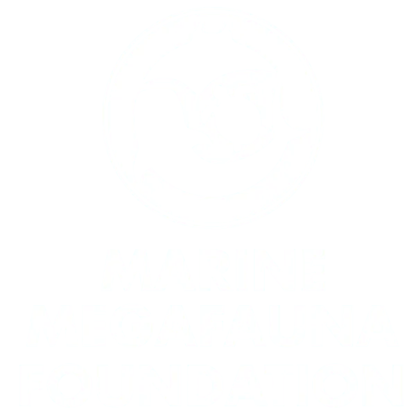 Logotipo circular blanco con siluetas marinas (tiburón, manta y tortuga) sobre fondo oscuro y el texto "Marine Megafauna Foundation" debajo.
