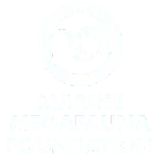 Logotipo circular blanco con siluetas marinas (tiburón, manta y tortuga) sobre fondo oscuro y el texto "Marine Megafauna Foundation" debajo.