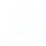 logotipo circular blanco con siluetas de tortuga y manta raya formando un círculo, y texto debajo: MARINE MEGAFAUNA FOUNDATION