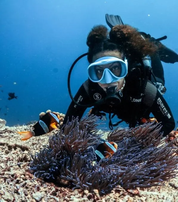 Buceadora en Nusa Penida mirando de cerca anémona con peces payaso mientras nada sobre el arrecife.