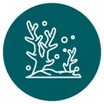 Icono circular verde con dibujo blanco de coral marino y burbujas, representando arrecife en Nusa Penida.