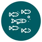 Icono circular verde con dibujo blanco de un cardumen de seis peces nadando y burbujas, texto sugerido Nusa Penida para actividad de buceo.