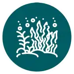 Icono de plantas marinas estilizadas sobre fondo circular verde que representa snorkel o buceo en Nusa Penida.