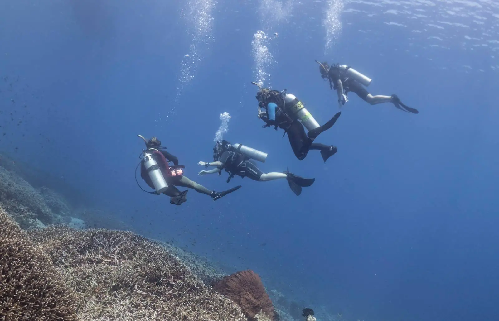 Cuatro buceadores explorando un arrecife de coral en Nusa Penida, flotando en formación mientras liberan burbujas.