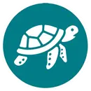 Logotipo circular verde con icono blanco de tortuga marina estilizada; simboliza avistamiento de tortugas en Nusa Penida.