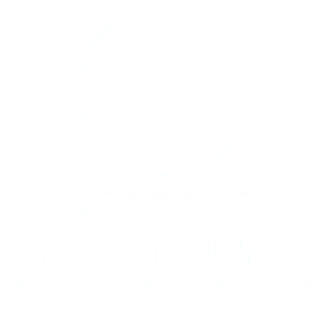 marine megafauna foundation-1 logotipo circular blanco sobre fondo azul con siluetas de manta, delfín y tortuga en torno a un círculo, y texto "MARINE MEGAFAUNA FOUNDATION" debajo.