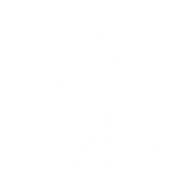 logotipo circular blanco con siluetas de tortuga y manta raya formando un círculo, y texto debajo: MARINE MEGAFAUNA FOUNDATION