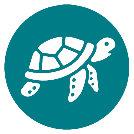 Logotipo circular verde con icono blanco de tortuga marina estilizada; simboliza avistamiento de tortugas en Nusa Penida.